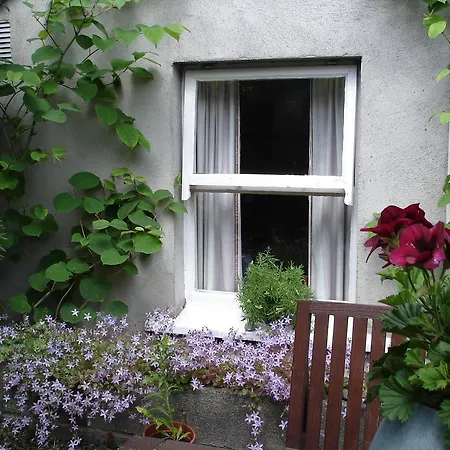 Harrington House Vandrarhem Dublin